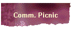 Comm. Picnic